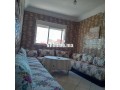 shk-nthyf-llkraaa-alyomy-bmrtyl-small-4