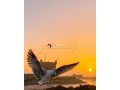 appartement-de-vacances-a-louer-a-borj-surface-totale-62-m2-cheminee-et-service-de-conciergerie-small-0