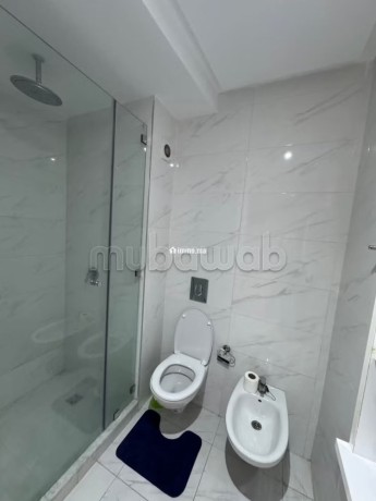 location-dun-appartement-a-place-orson-welles-surface-totale-96-m2-vue-exceptionnelle-sur-la-montagne-chauffage-central-big-9