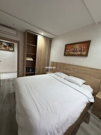 location-dun-appartement-a-place-orson-welles-surface-totale-96-m2-vue-exceptionnelle-sur-la-montagne-chauffage-central-big-6