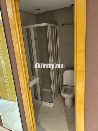 belle-appartement-big-6