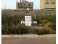 lot-90m-titre-rayhane1-small-6