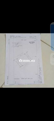 terrain-agricole-a-sidi-smail-region-el-jadida-big-0