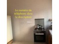 num212634800066-small-5