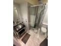 studio-de-charme-en-plein-gauthier-small-2
