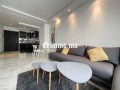 studio-de-charme-en-plein-gauthier-small-3