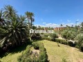palmeraie-duplex-220-m2-3-chs-dernier-etage-small-10