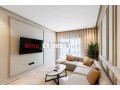 studio-journaliere-de-lux-a-france-ville-small-1