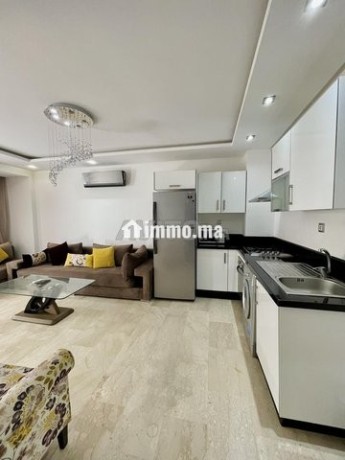 magnifique-appartement-pour-location-courte-duree-big-3