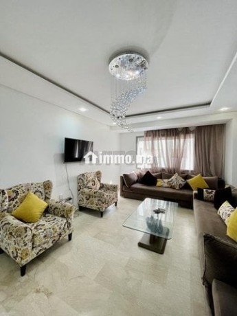 magnifique-appartement-pour-location-courte-duree-big-4