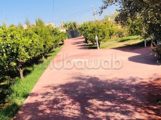 Maison de luxe à louer à Route de Fez.
Superficie 4000 m².
Places de stationnement et jardin - Maison à vendre