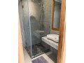 a-louer-appartement-luxueux-sur-triangle-dor-small-9