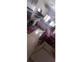 grand-appartement-pour-familles-small-1