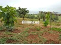ferme-titree-sur-12-400-m2-small-4