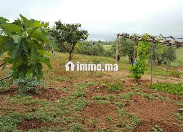 ferme-titree-sur-12-400-m2-big-4