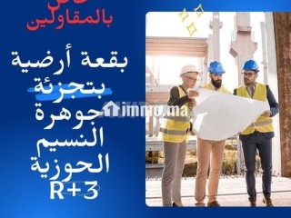 bkaa-ardy-btgzy-gohr-alnsym-alhozy