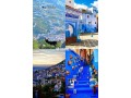 shkk-shfshaon-mtl-aal-algbal-llaygar-alyomy-small-0