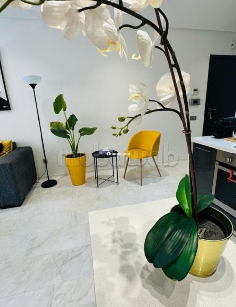 Confort & modernité au cœur de Franceville - Vente Immobilier - Casablanca - photo 4