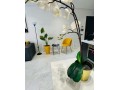 confort-modernite-au-coeur-de-franceville-small-3