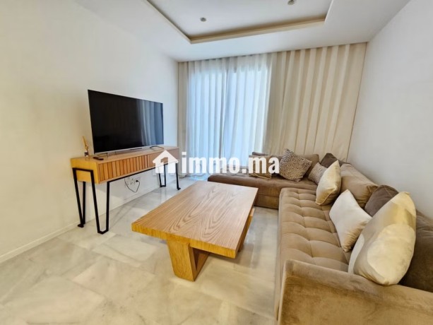 joli-appartement-f2-avec-une-grande-terrasse-big-1