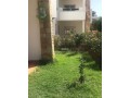 residence-playa-del-pacha-small-12