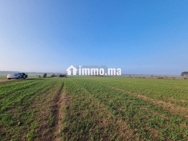 terrain-a-sidi-rahal-chatai-pied-sur-mer-big-4