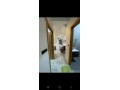 appartement-toute-neuve-meuble-a-agadir-small-5