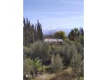 villa-dun-hectare-au-km-20-route-dourika-small-9