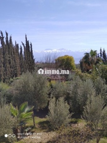 villa-dun-hectare-au-km-20-route-dourika-big-9