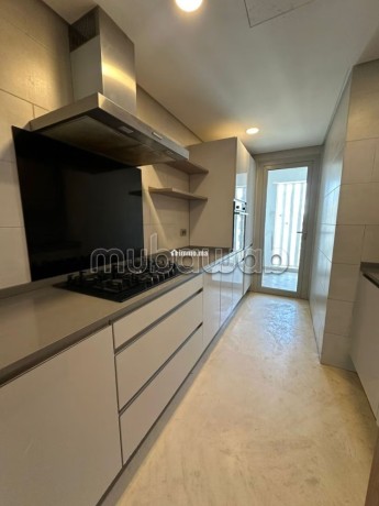 appartement-avec-terrasse-a-louer-a-cfc-big-4