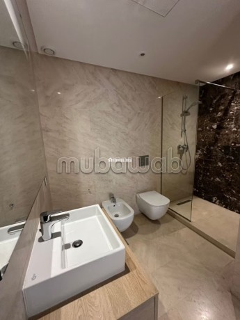 appartement-avec-terrasse-a-louer-a-cfc-big-6