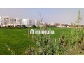 terrain-agricole-en-face-de-bayti-sakan-a-temara-small-4
