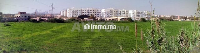 terrain-agricole-en-face-de-bayti-sakan-a-temara-big-0