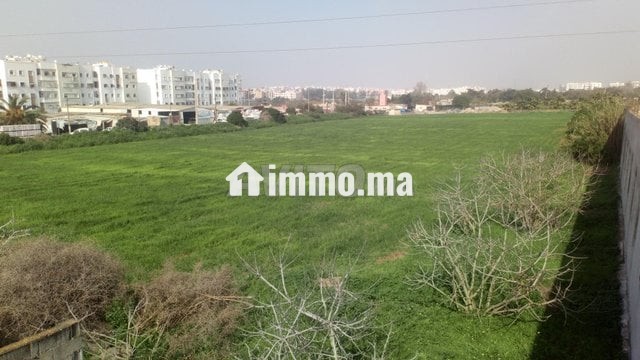 terrain-agricole-en-face-de-bayti-sakan-a-temara-big-2