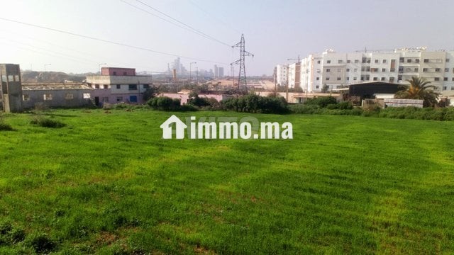terrain-agricole-en-face-de-bayti-sakan-a-temara-big-3