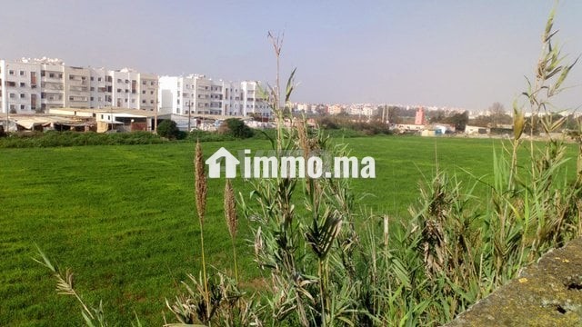 terrain-agricole-en-face-de-bayti-sakan-a-temara-big-4