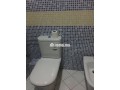 shk-mfrosh-bkrnysh-tng-llkraaa-small-8