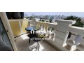 tres-joli-produit-moderne-proche-lyautey-small-14