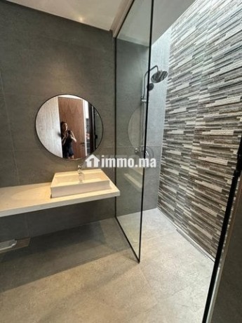 projet-haut-standing-villas-a-vendre-el-menzeh-big-6
