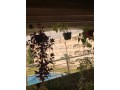 vente-appartement-small-11