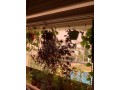 vente-appartement-small-14