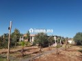 ferme-5479m2-meuble-a-route-de-tahannaout-small-1