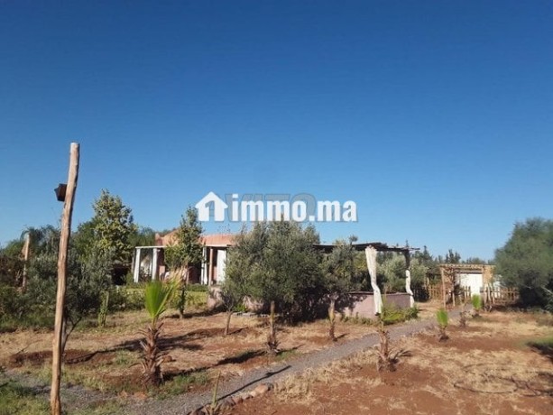 ferme-5479m2-meuble-a-route-de-tahannaout-big-1