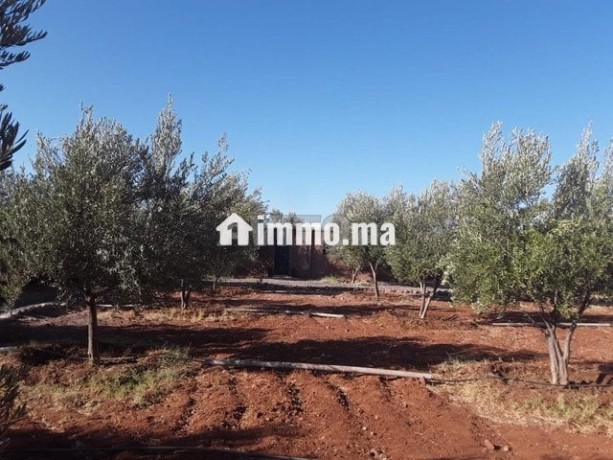 ferme-5479m2-meuble-a-route-de-tahannaout-big-5