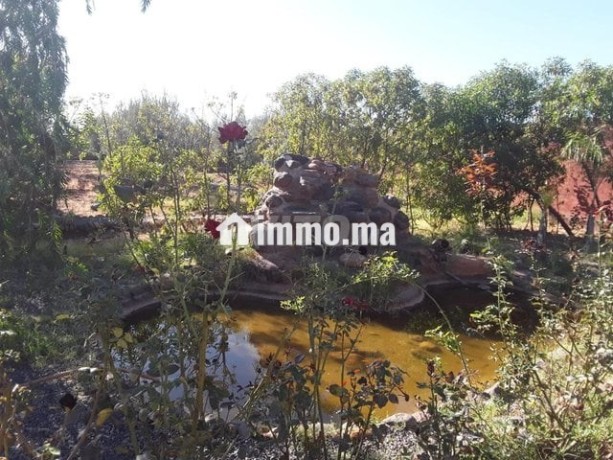 ferme-5479m2-meuble-a-route-de-tahannaout-big-6