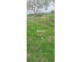terrain-a-vendre-small-2