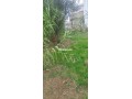 terrain-a-vendre-small-3