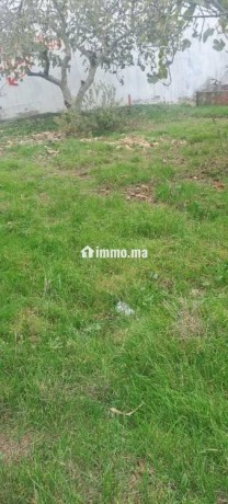 terrain-a-vendre-big-2