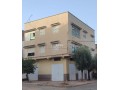 maison-r2-avec-garages-et-toit-terrasse-3-facades-small-0