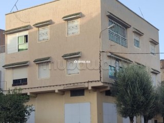 maison-r2-avec-garages-et-toit-terrasse-3-facades